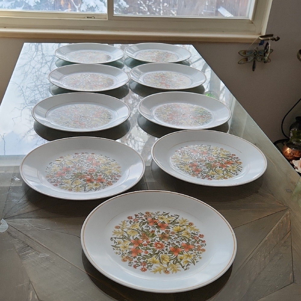 Corelle Corning Vintage Indian Summer Dinner Plate Discontinued Pattern set of 2